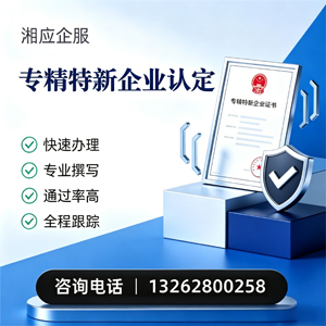 湘潭专精特新企业申报服务