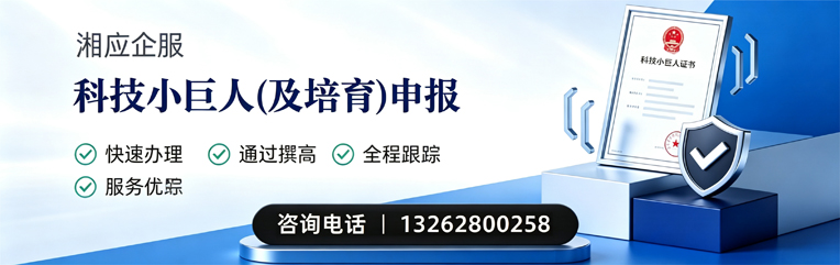 湘潭科技小巨人及培育企业申报服务