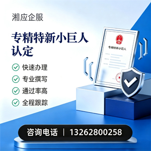 湘潭专精特新小巨人申报服务