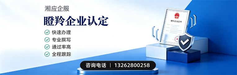 湘潭瞪羚企业认定申报服务