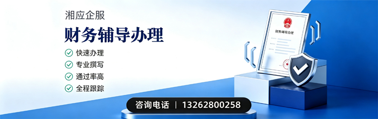 湘潭财务辅导申请服务