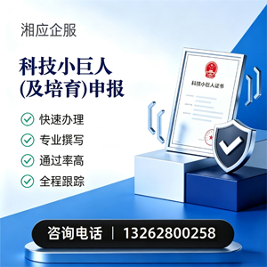 湘潭科技小巨人及培育企业申报服务