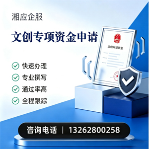 湘潭文创专项资金申报服务