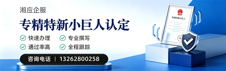 湘潭专精特新小巨人申报服务